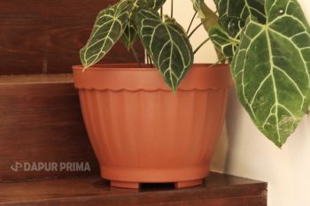 VANDA POT BUNGA WARNA 33,5CM - Image 3