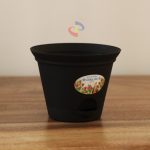 POT BUNGA CHRYSAN HITAM BESAR