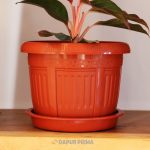 POT BUNGA ROMAN KECIL COKELAT + TATAKAN