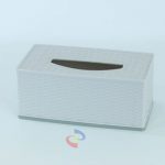 ASVITA TEMPAT TISSUE SEGI ROTAN