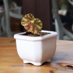 VAS BUNGA KERAMIK PUTIH/HITAM+ LUBANG A-440